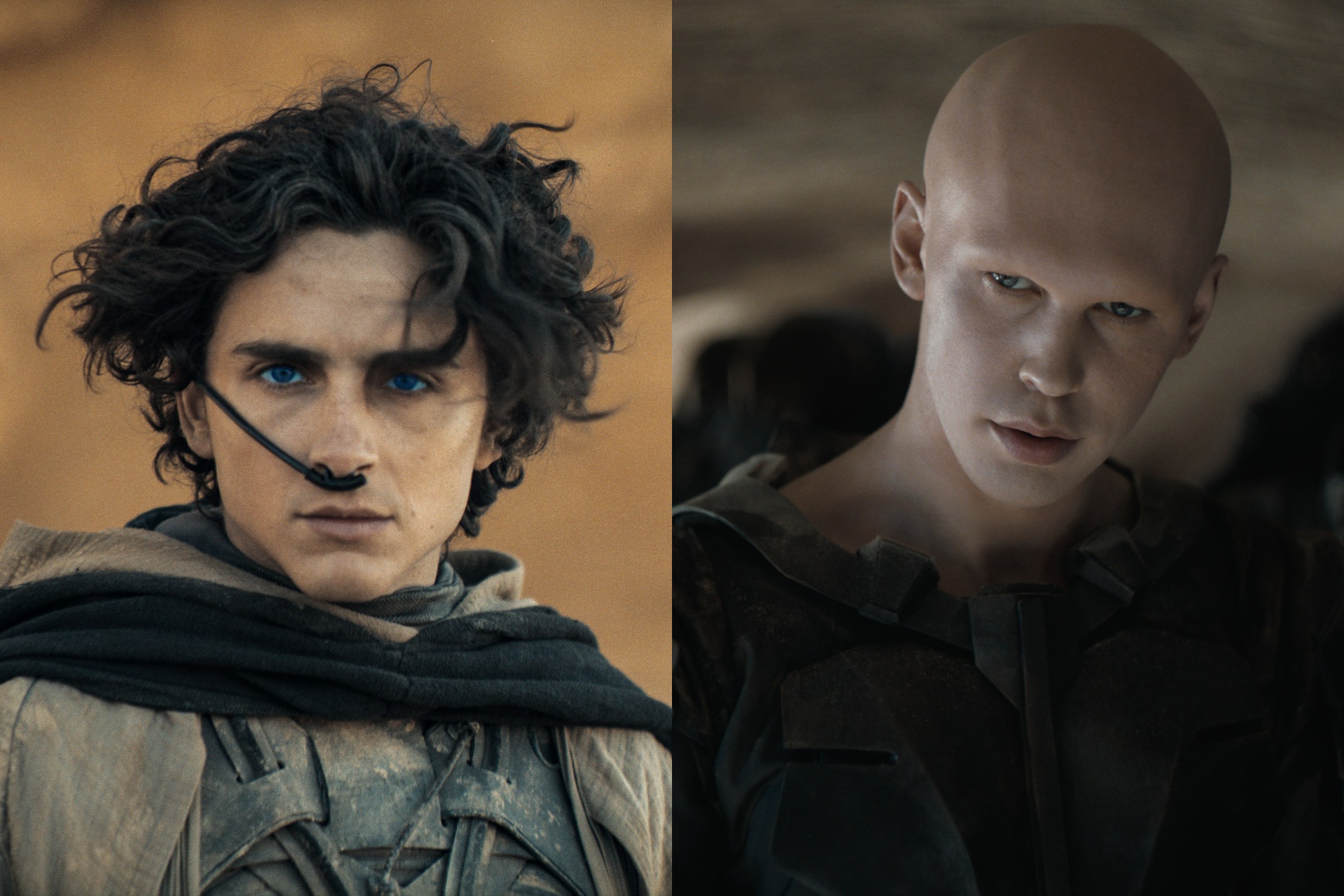 TikTok asks: What if Dune 2’s climactic fight was actually… a meet cute?