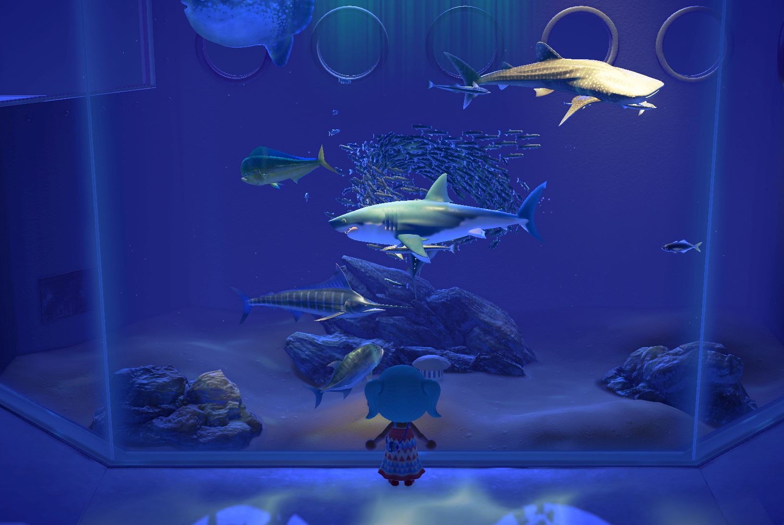 Animal Crossing’s aquarium experience is going on tour — here’s how it works